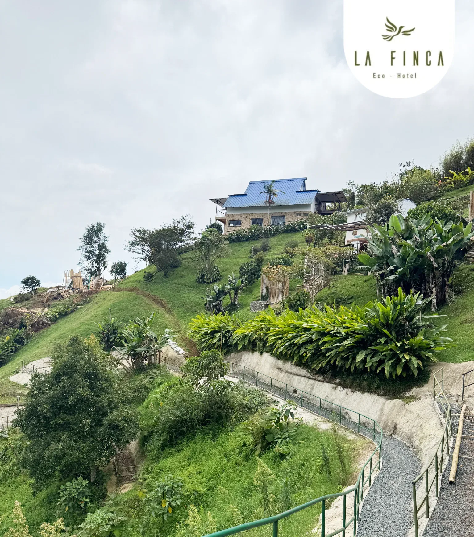 Las cabañas de techo azul de La Finca Eco Hotel sobre la ladera, con los senderos y los jardines de la reserva